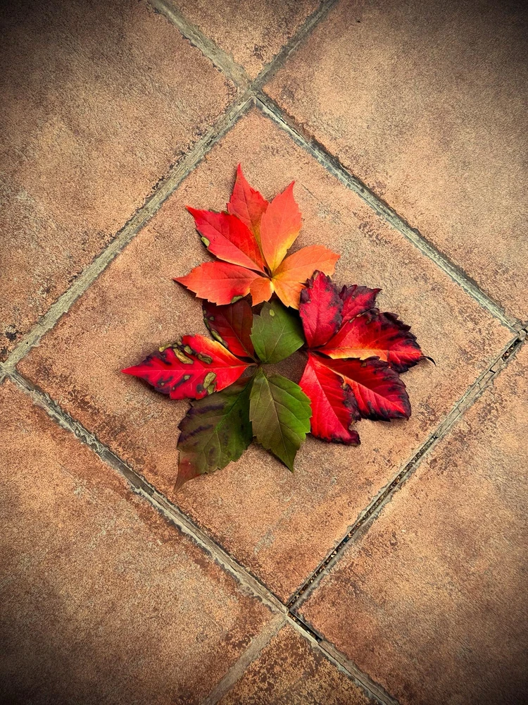 GIF uploaded by Alena