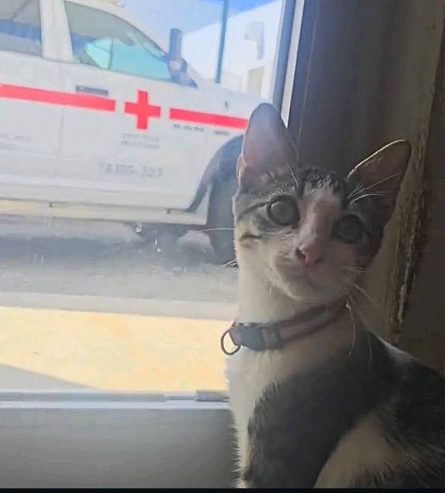 Imagen subida por Daniel