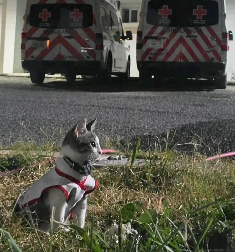 Imagen subida por Daniel