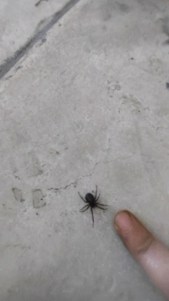 Immagine caricata da ҒRΔ