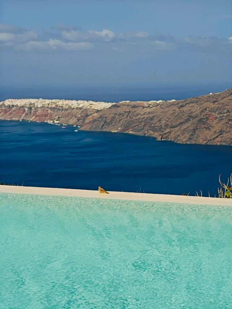 Image uploaded by Tegan spinner