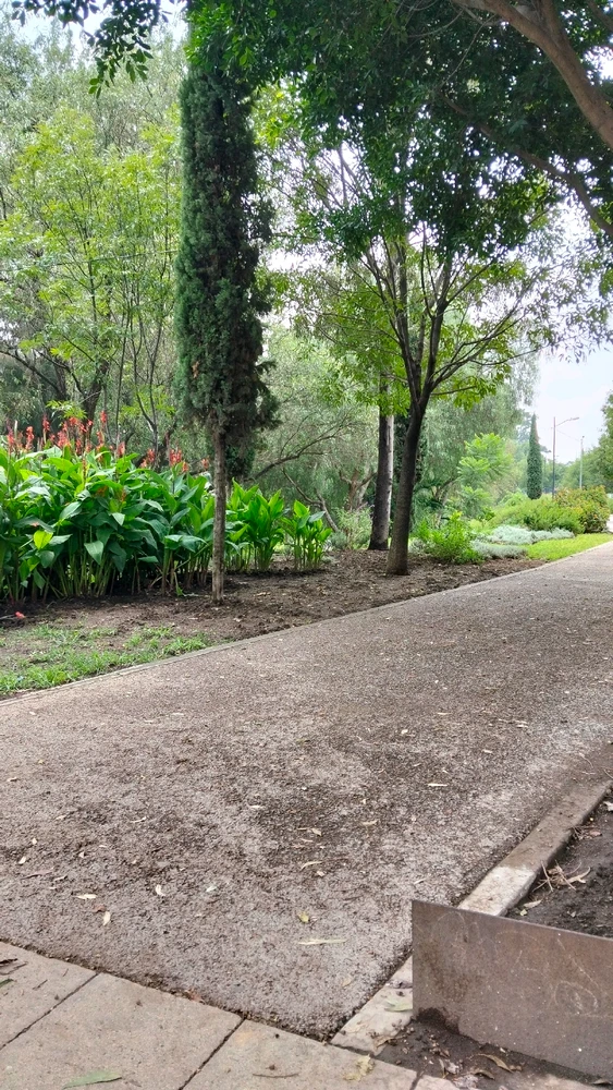 GIF subido por Ivano Aguilar