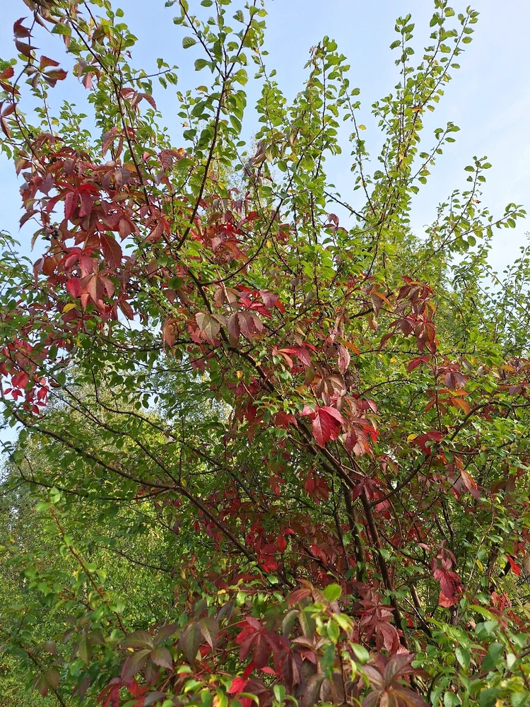 Zdjęcie dodane przez Ewelina