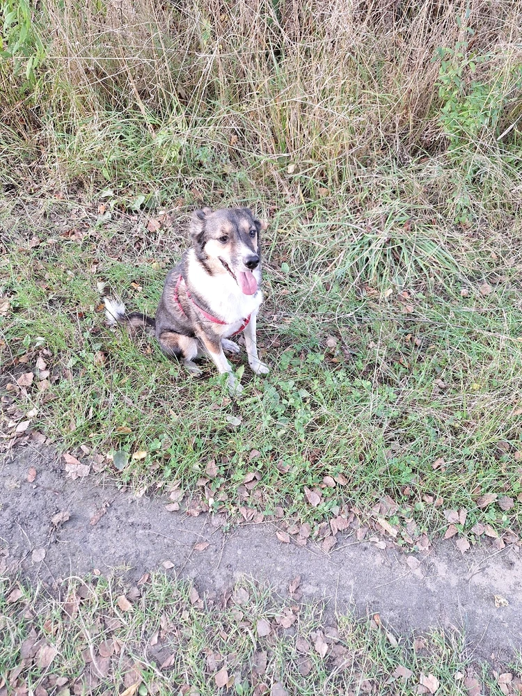 Zdjęcie dodane przez Ewelina