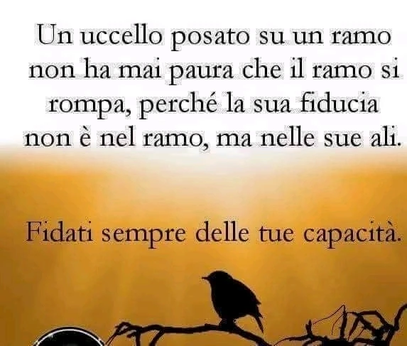 GIF caricata da LunaStorta