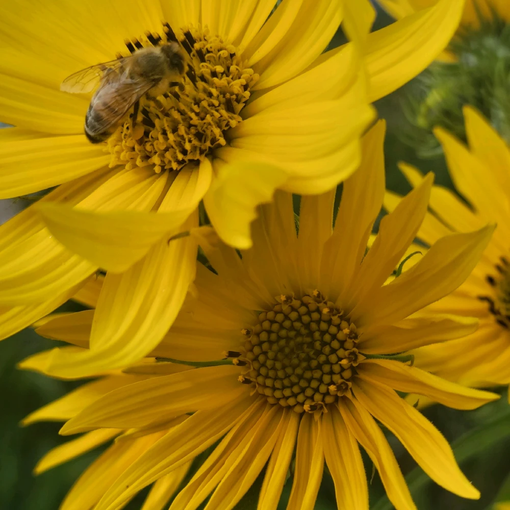 GIF diunggah dening Chani