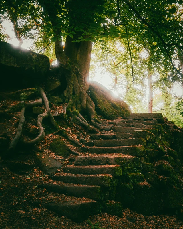 Here fairies play and u ?