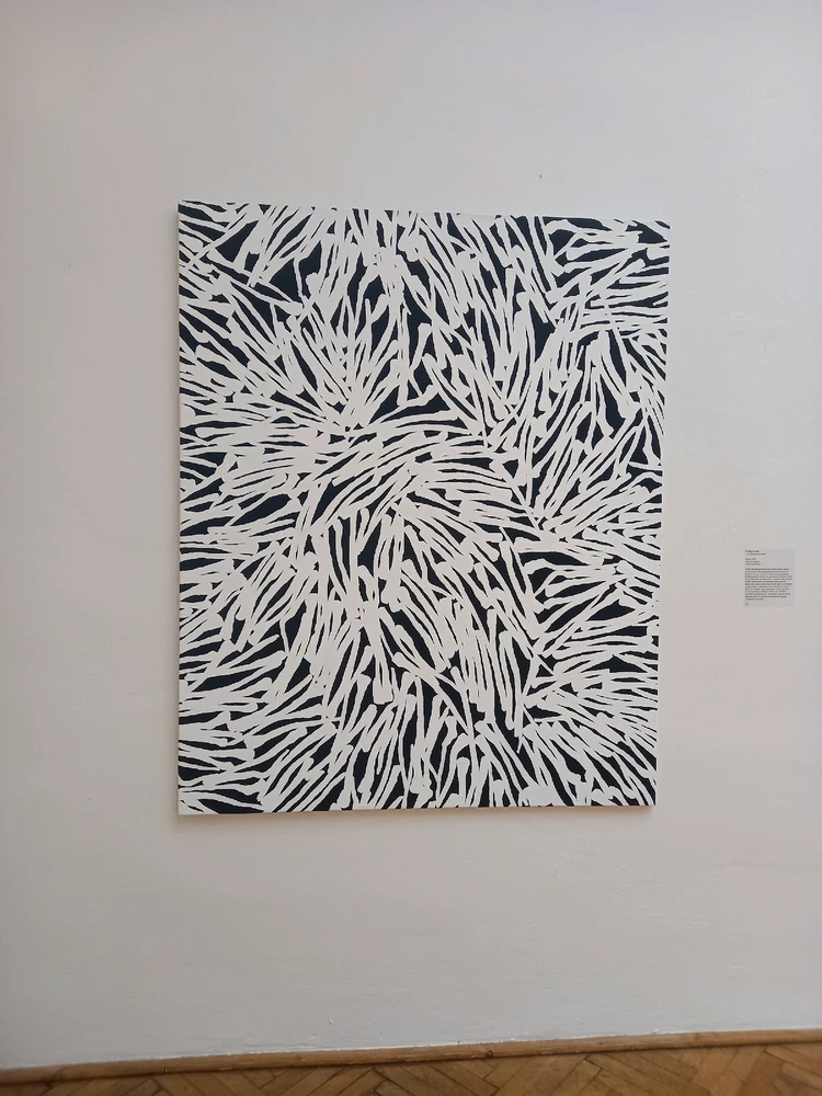 Obrázek nahrál Svatava