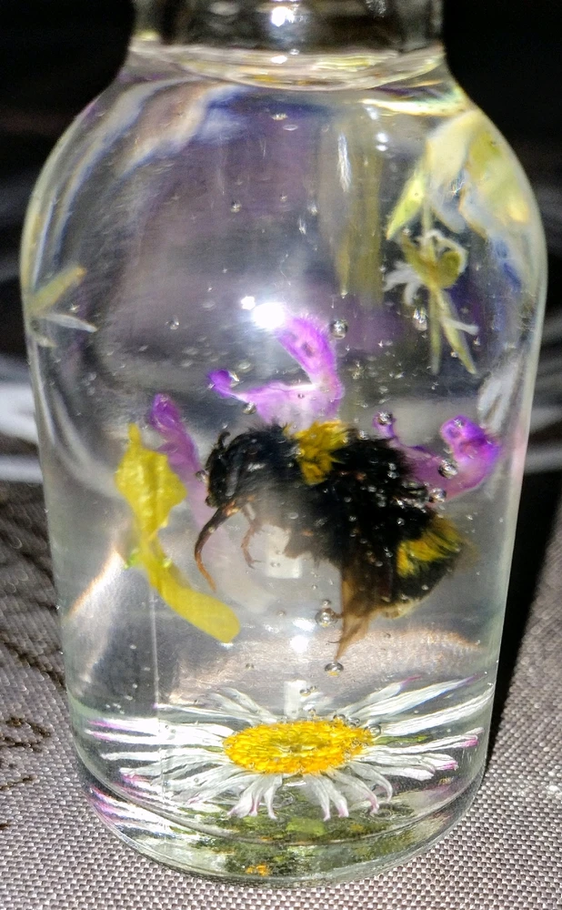 GIF uploaded by Cielo