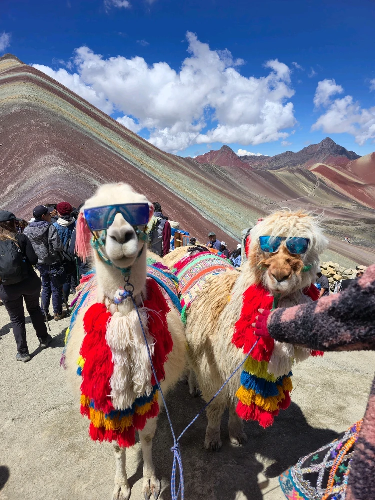 GIF dodany przez Tymianek