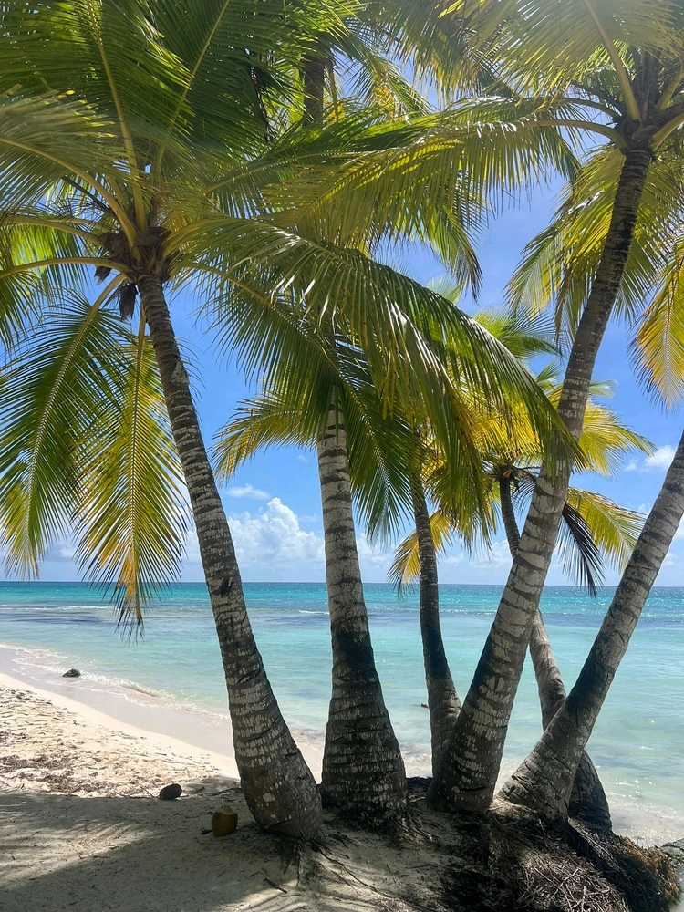 Imagen subida por Oneel