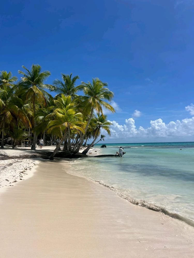 Imagen subida por Oneel