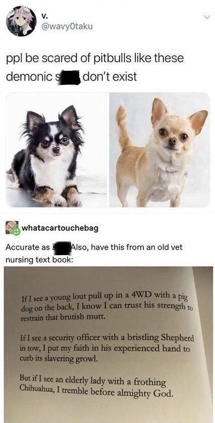 GIF uploaded by Julia