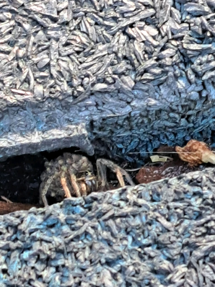 Gambar diunggah dening ᚲᚱᛁᛊᛏᛗᚨ