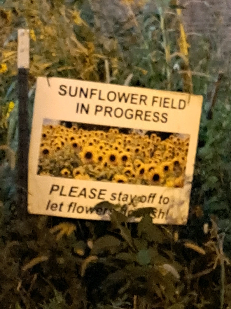 Gambar diunggah dening ᚲᚱᛁᛊᛏᛗᚨ