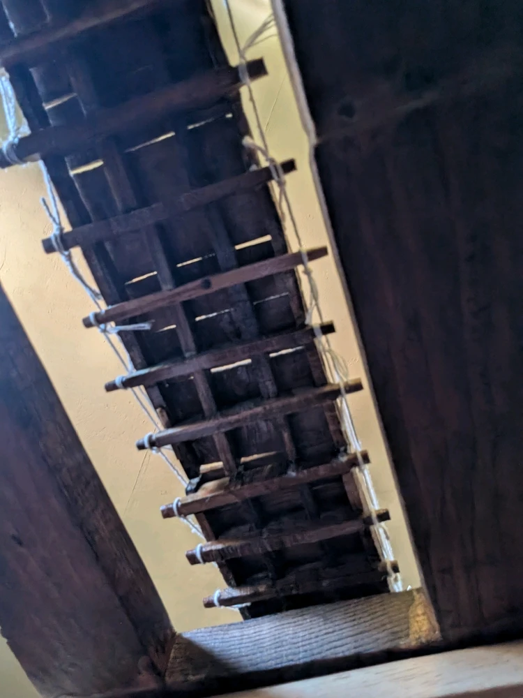 Image uploaded by Grant