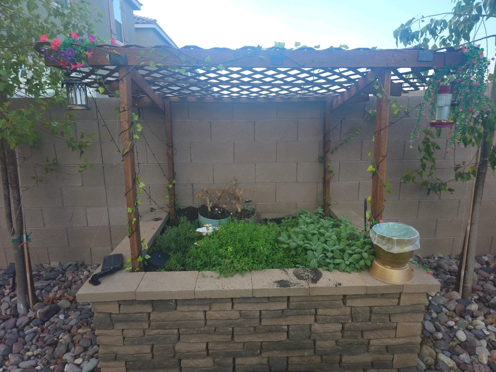 Image uploaded by AJ