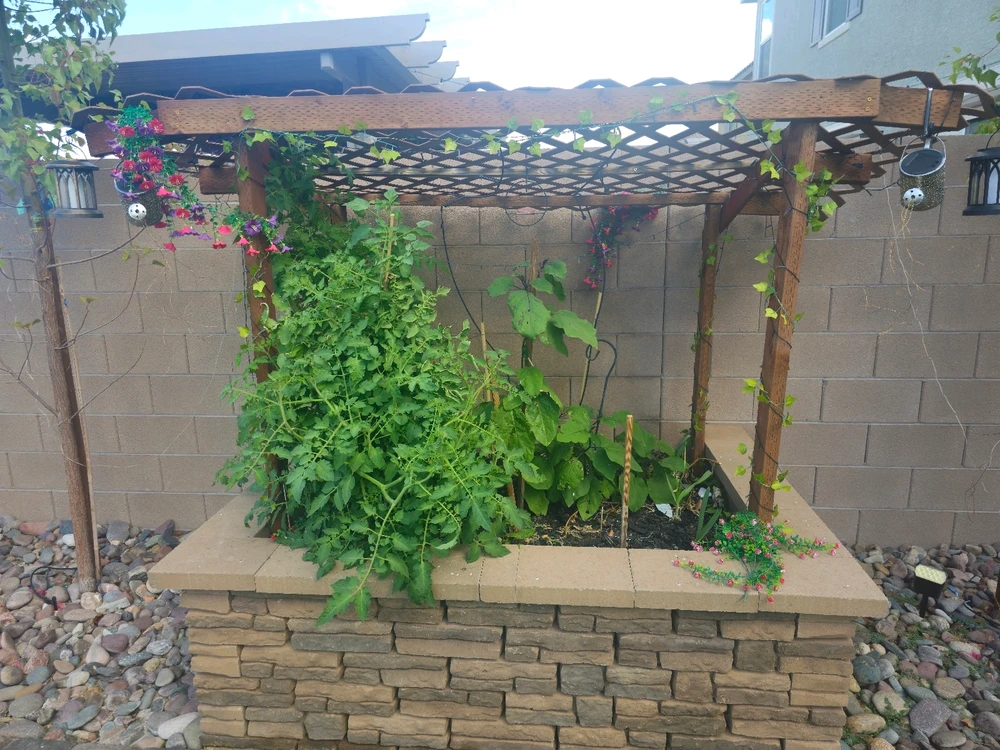 Image uploaded by AJ