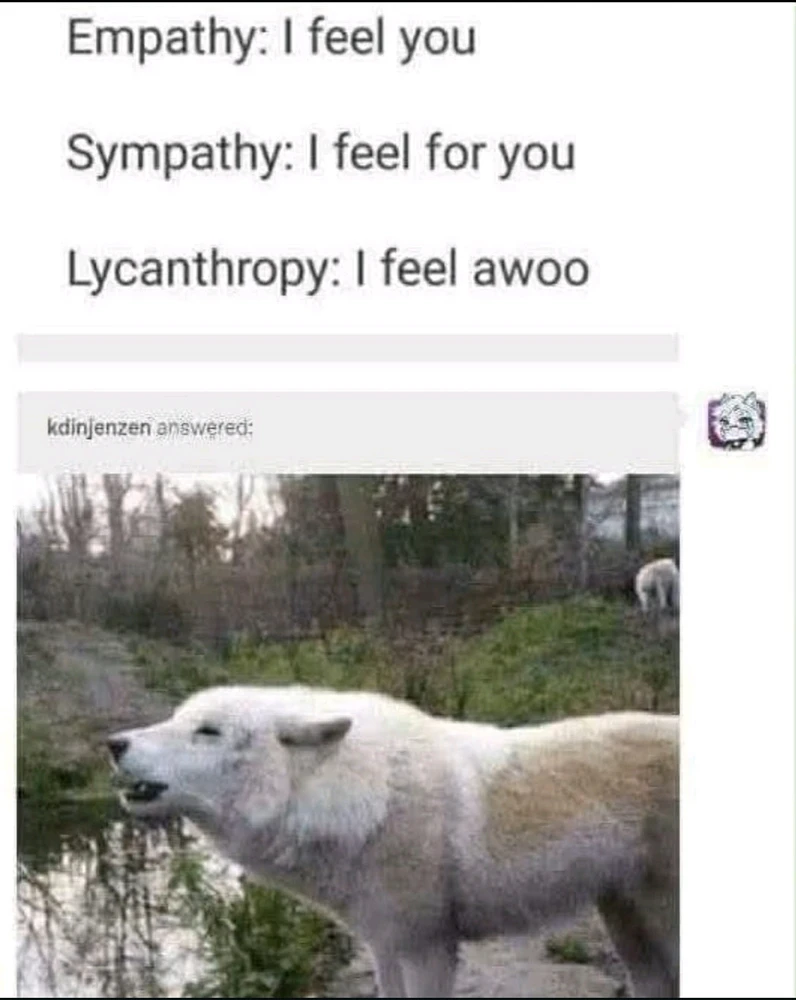 GIF hochgeladen von Blechi