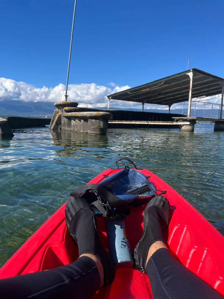 Image uploaded by Teddy