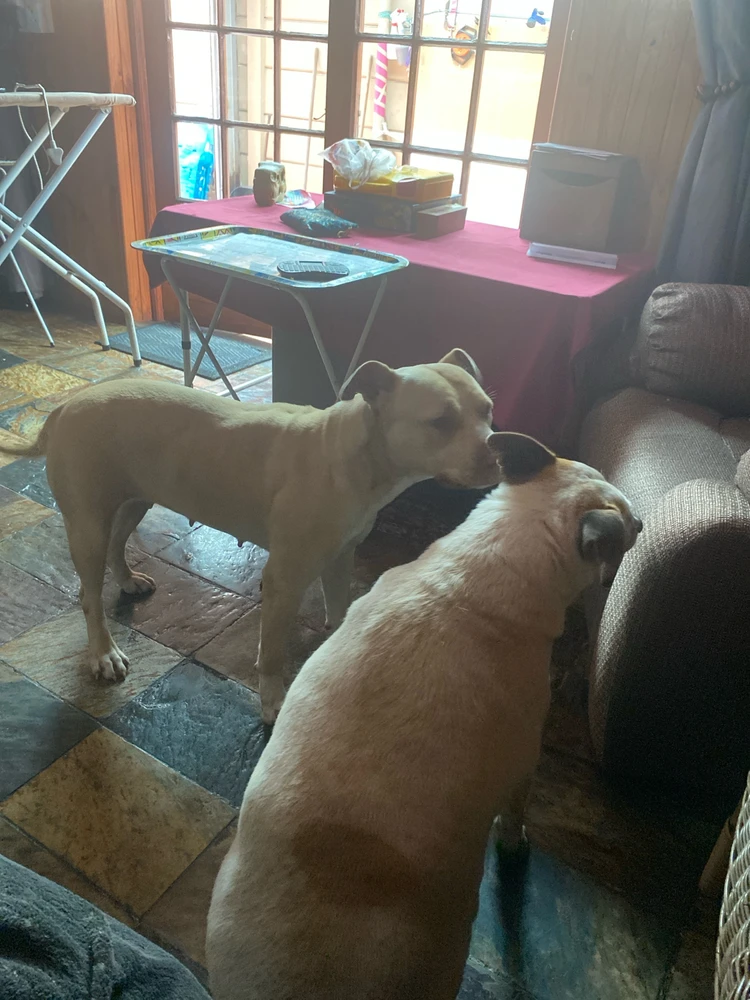 GIF uploaded by Amie