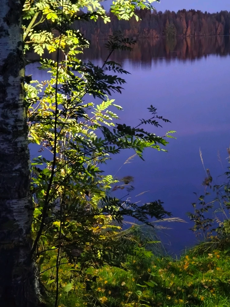 GIF-tiedoston lisäsi Markku