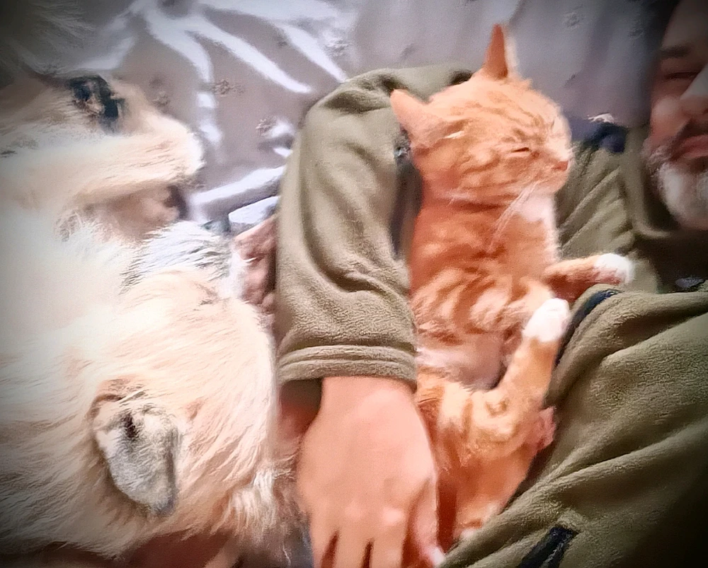 Гіфку завантажив Олексій