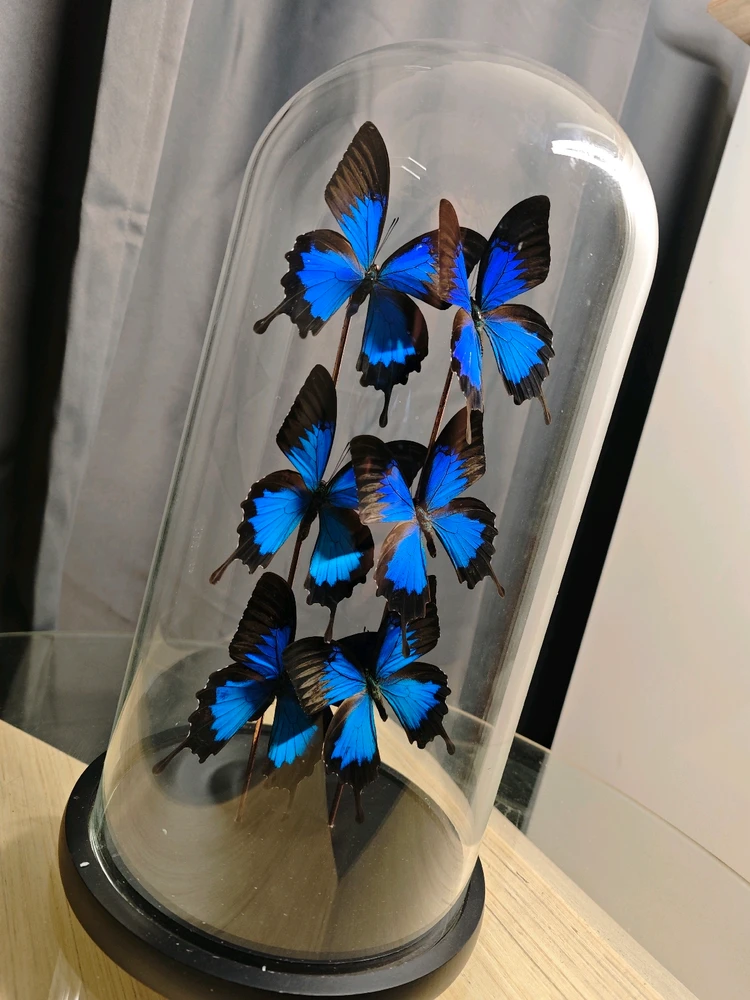 GIF geüpload door Duncan