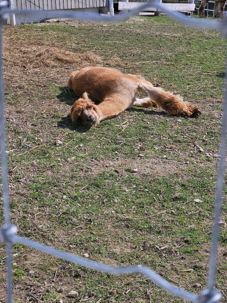 Image uploaded by Daniel