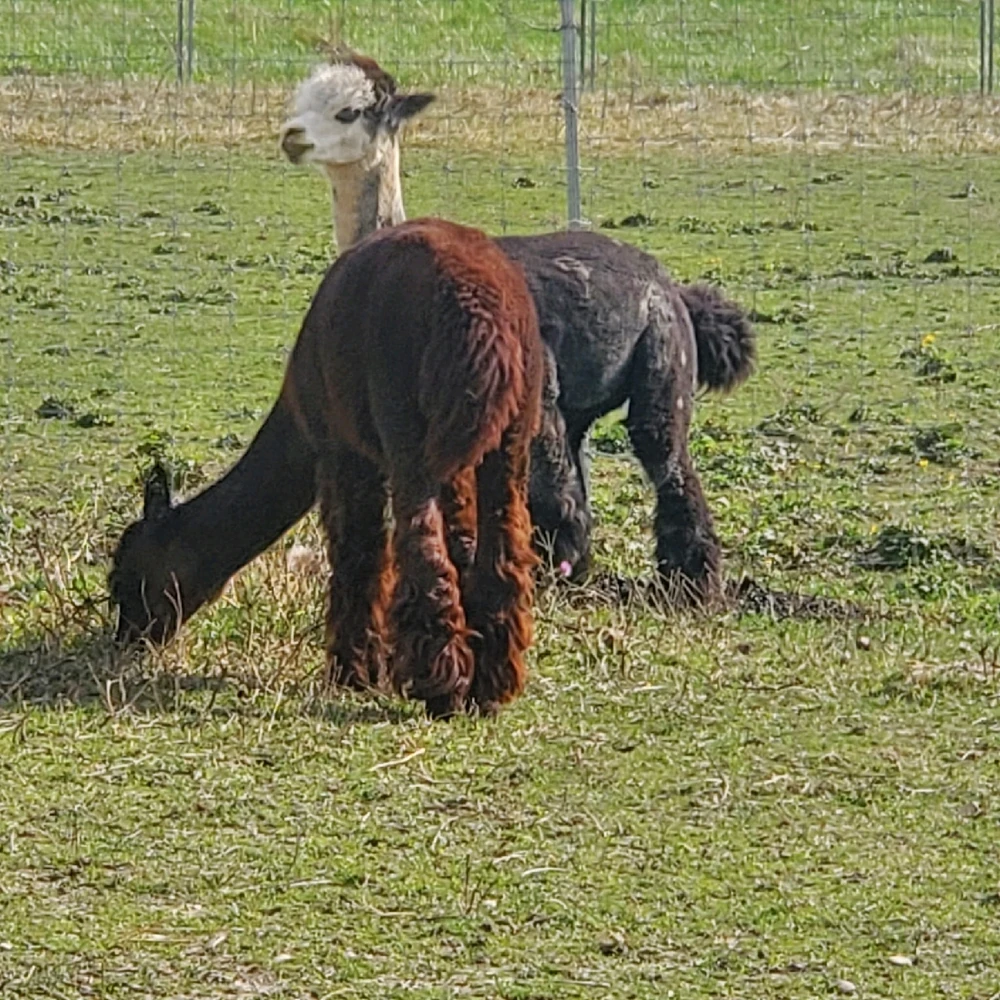 Image uploaded by Daniel