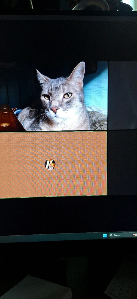 GIF uploaded by Collin