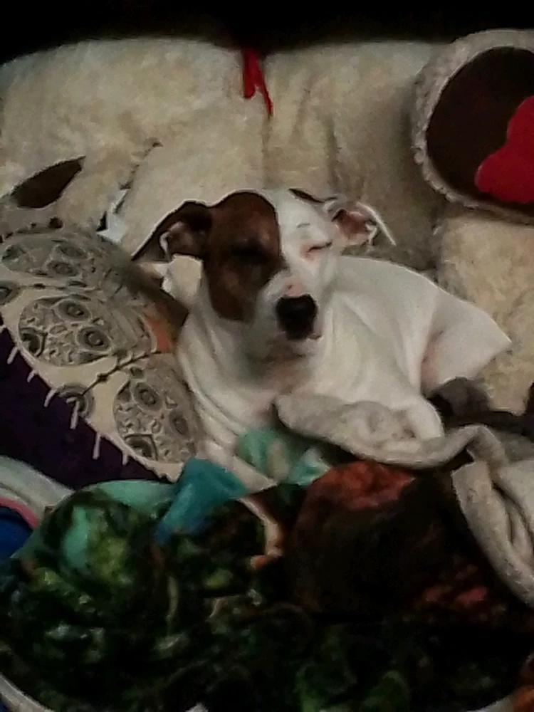GIF uploaded by Kimberly Nicholas