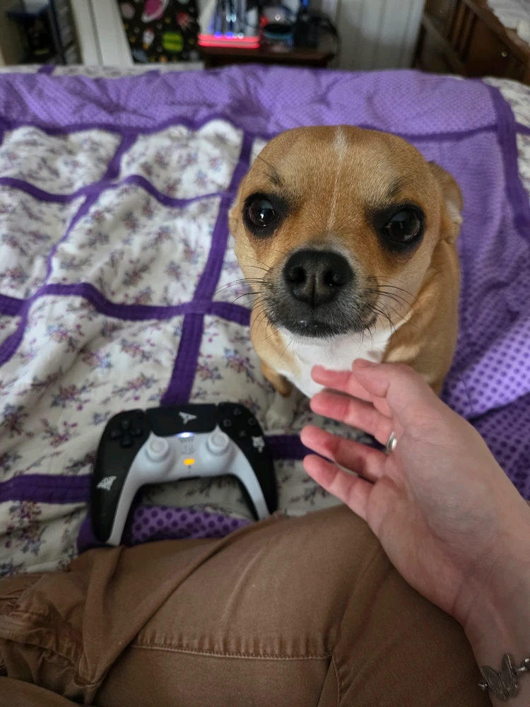 Image uploaded by Caitlin