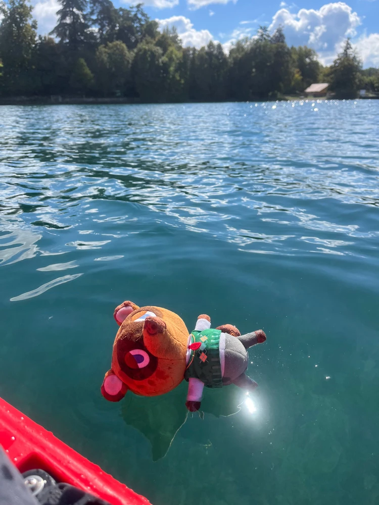 Cancer in the leman 2