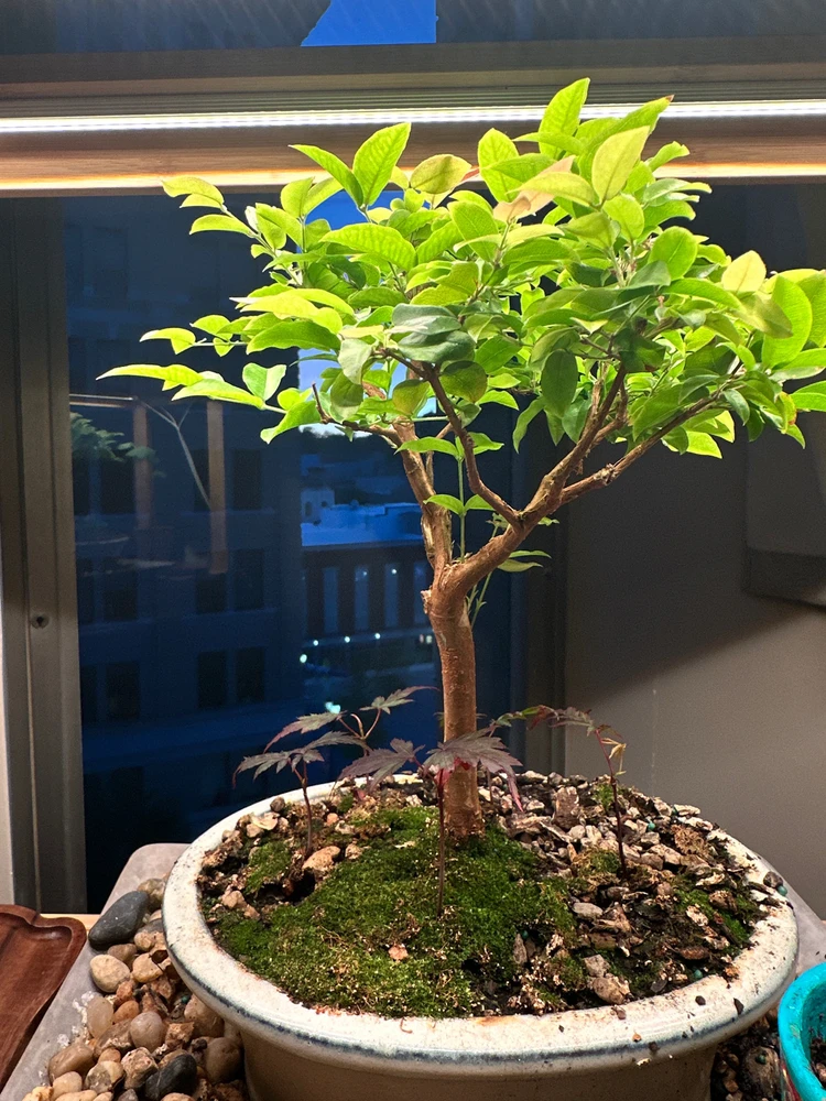 GIF diunggah dening Josh