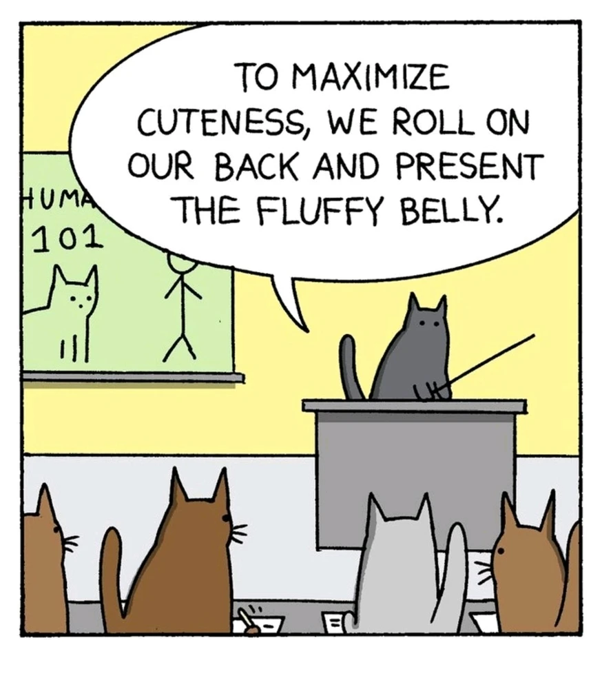 GIF hochgeladen von Kev