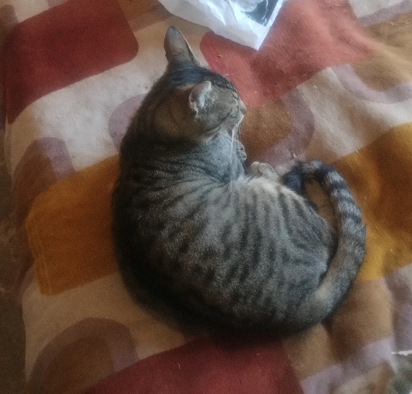 GIF subido por Daiana