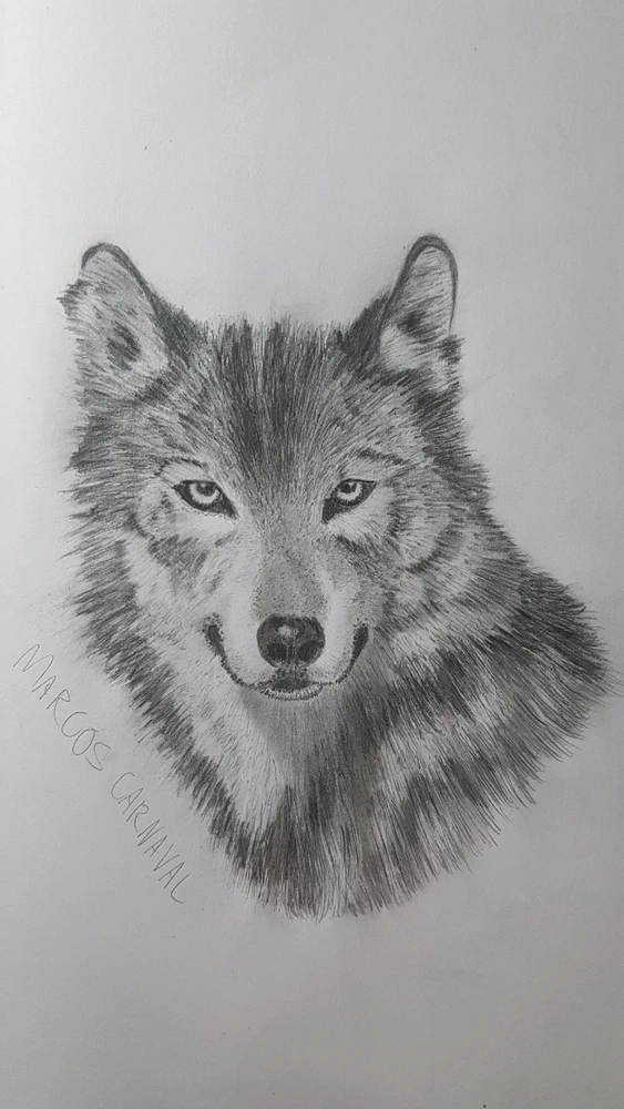 GIF enviado por Marcos