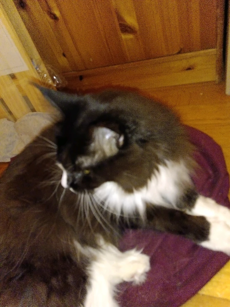 GIF hochgeladen von Flo