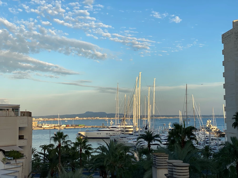 GIF uploaded by Tobias