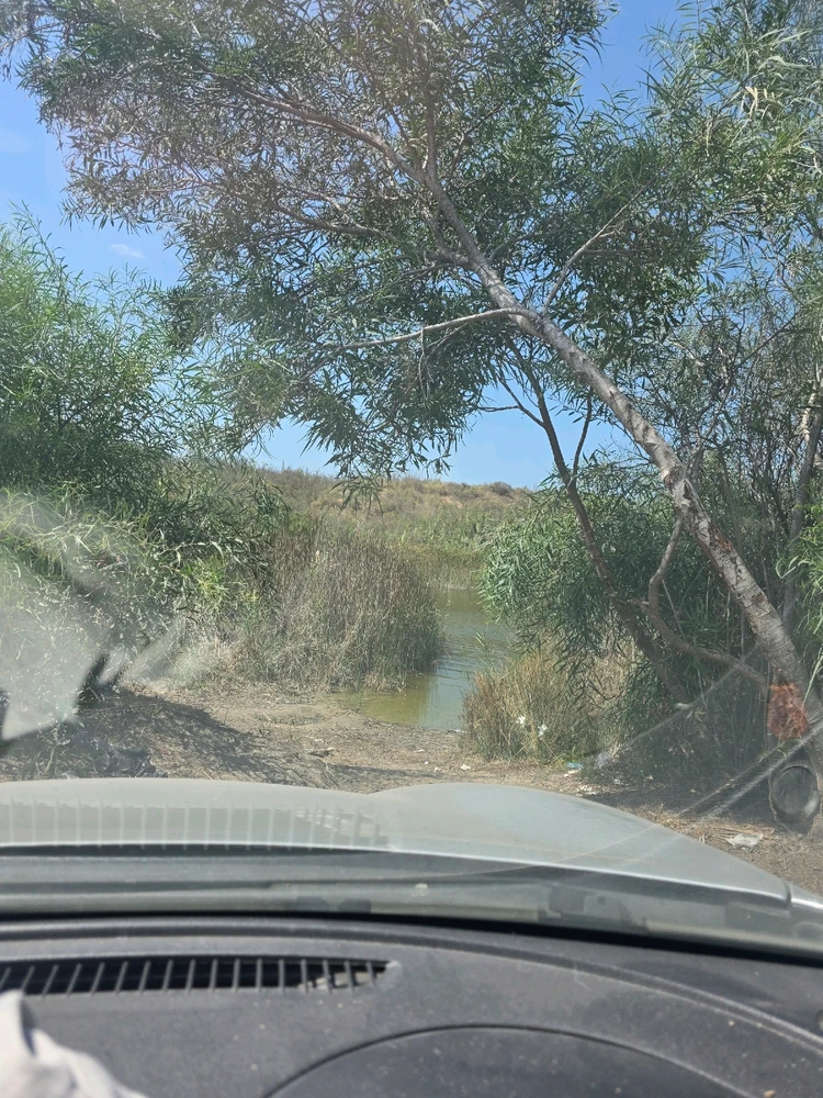 GIF הועלה על ידי שקד