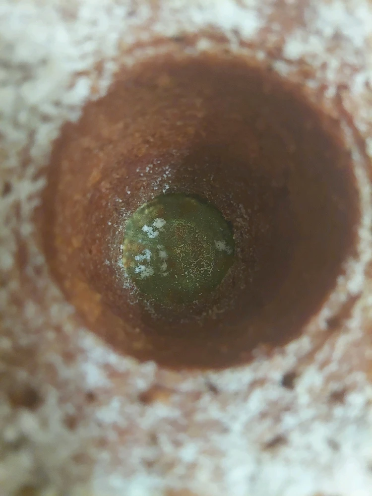 Obrázek nahrál Táňa