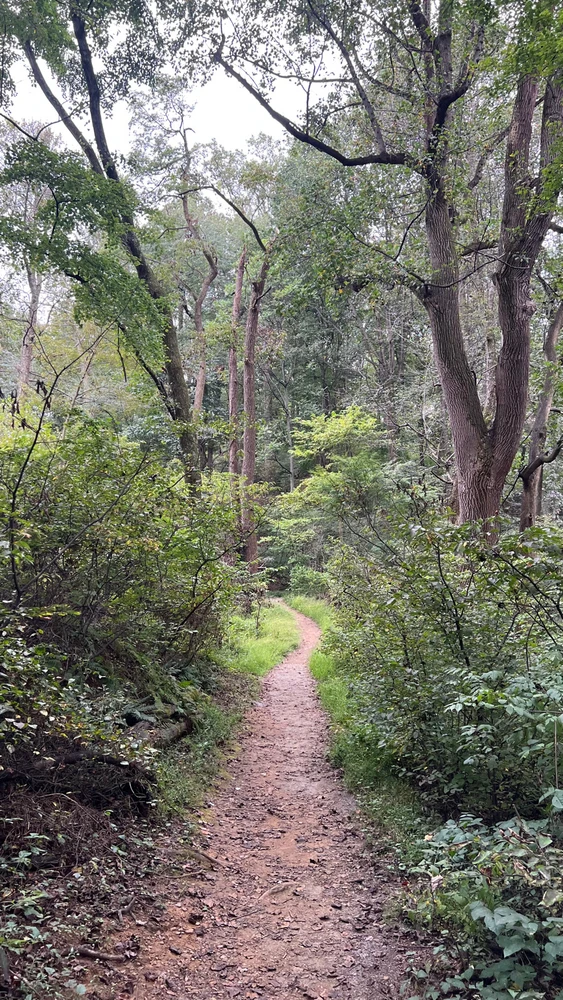 Image uploaded by Andy