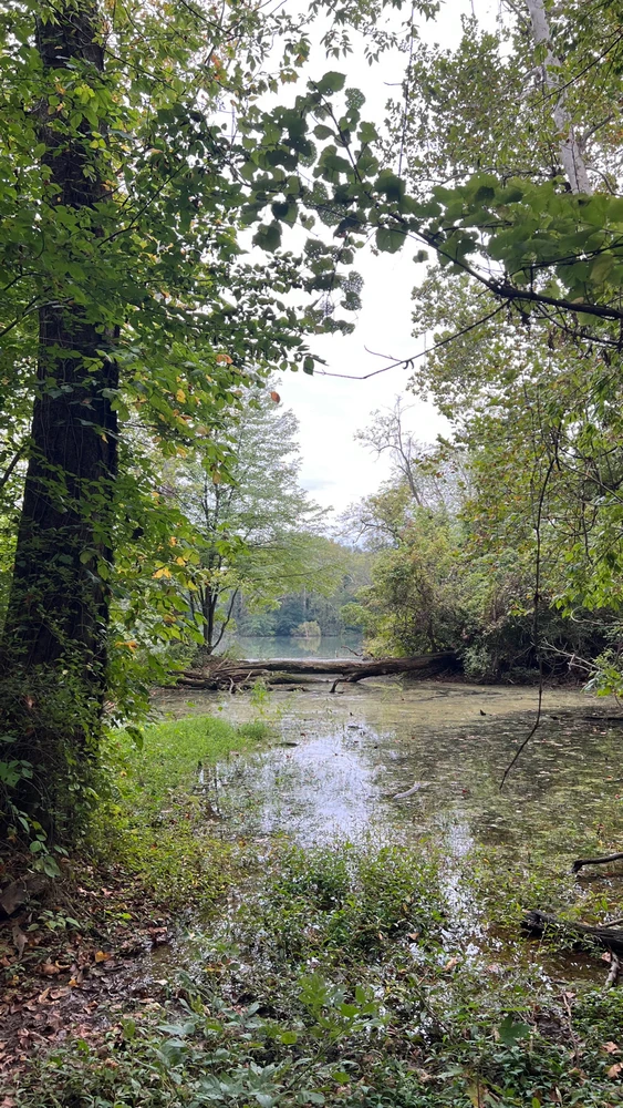 Image uploaded by Andy