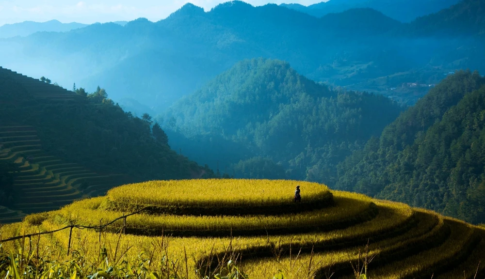 GIF uploaded by Bư