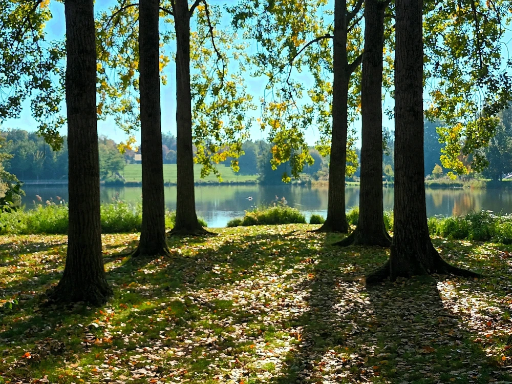 Image ajoutée par Cymoriel🦋