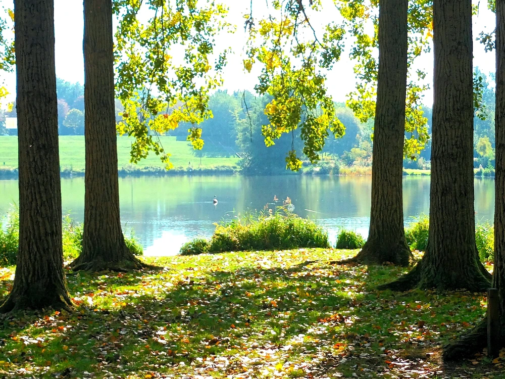 Image ajoutée par Cymoriel🦋