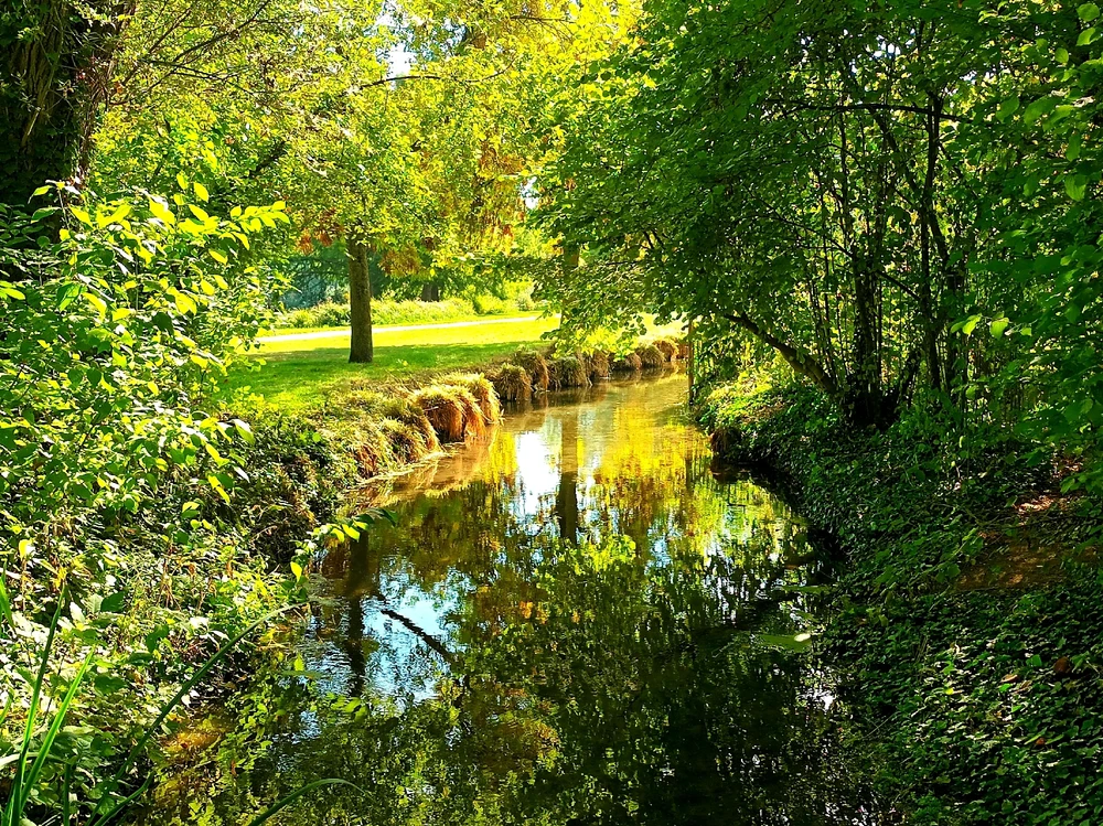 Image ajoutée par Cymoriel🦋