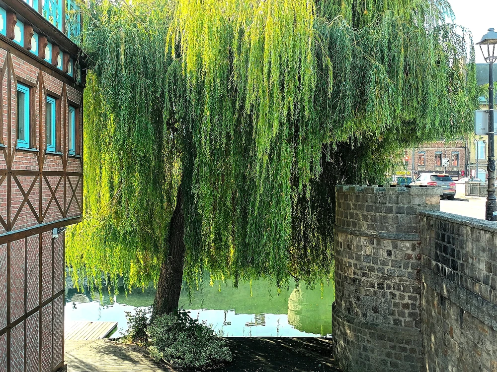 Image ajoutée par Cymoriel🦋