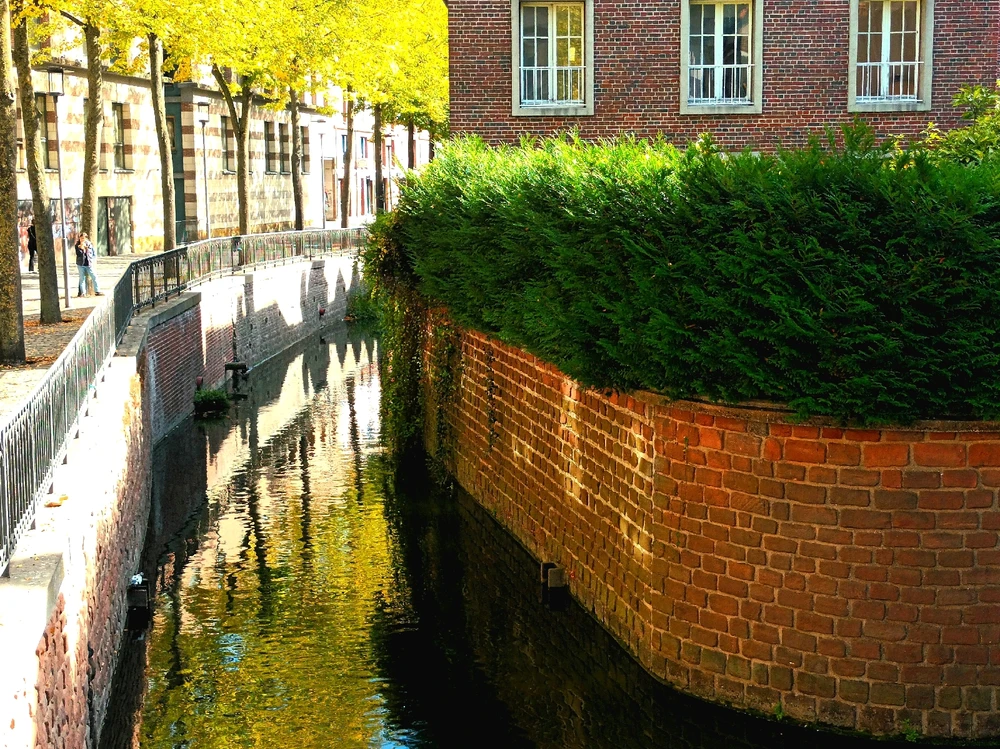 Image ajoutée par Cymoriel🦋